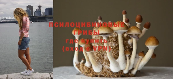 COCAINE Алексеевка