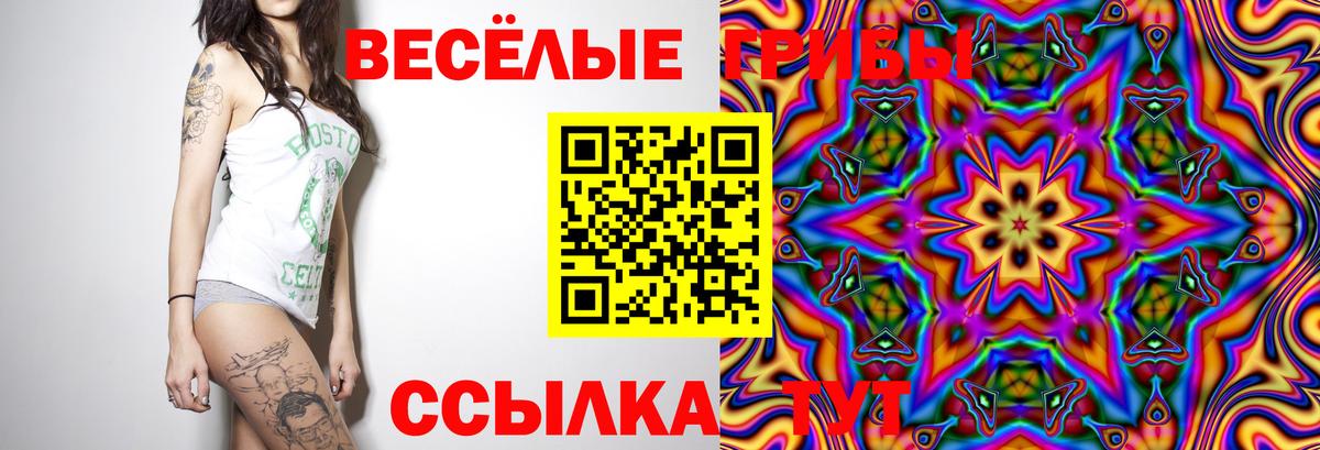 Галлюциногенные грибы мицелий  Апатиты  Галлюциногенные грибы Magic Shrooms 