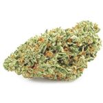 Шишки OG Kush  (Гидропоника, бошки) VHQ в Апатитах